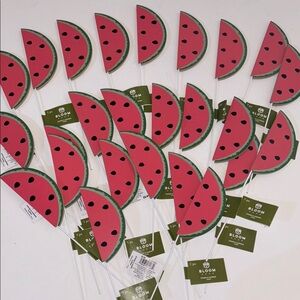 Watermelon Pics set of 26 NWT WATERMELON FLORAL PICKS WATERMELON DECOR